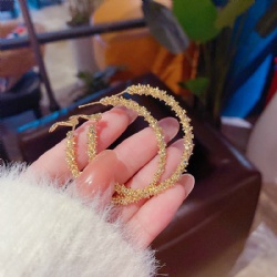 Fashion earrings
