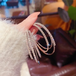 Fashion earrings