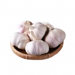Fresh garlic